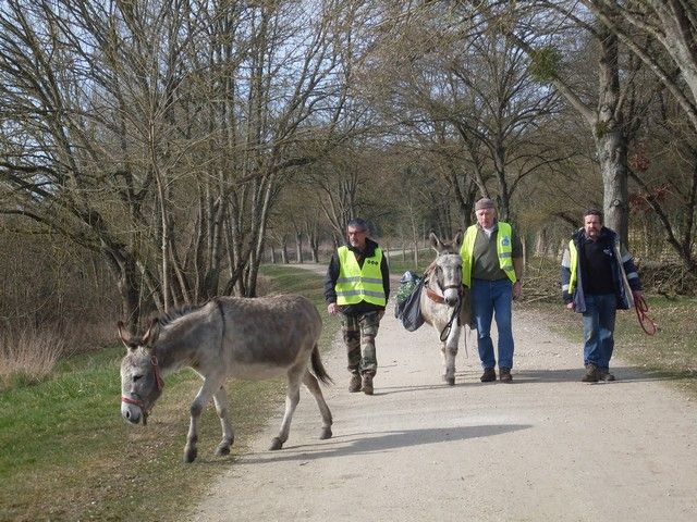 loire propre 2015 (11).jpg